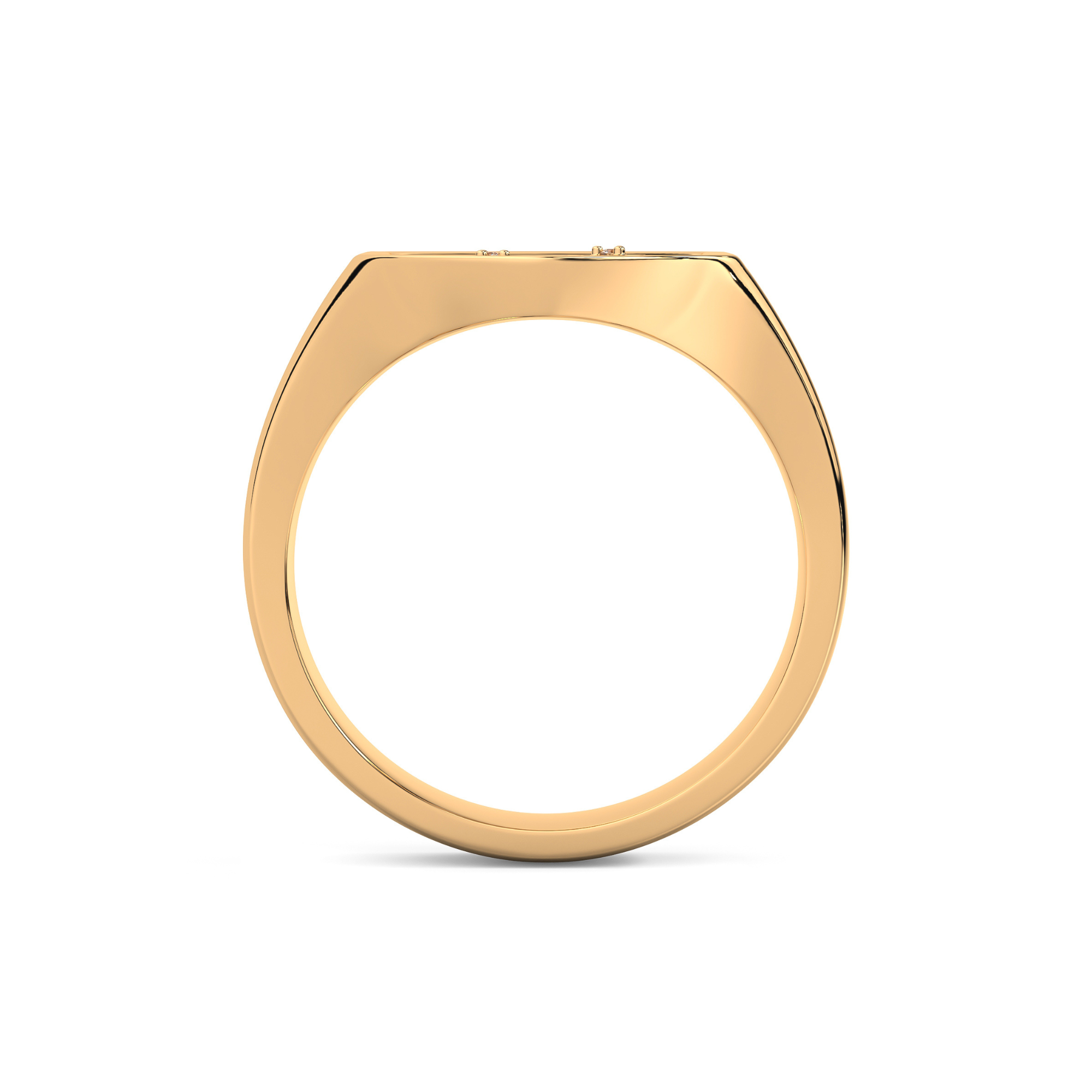 Signet Ring  |  Large Sheild