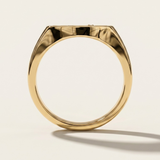 Signet Ring  |  Large Sheild