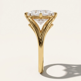 Tasman  |  Princess Cut Diamond Split Band