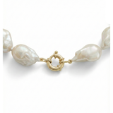 Pearl necklace with a gold clasp on a white background